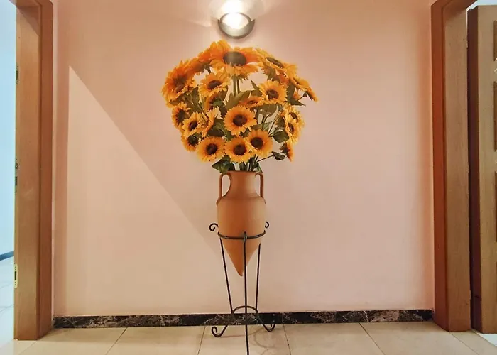 דירה 2 רימיני